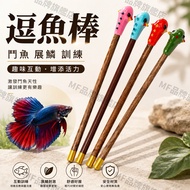 Next Day Delivery+Free Shipping🚚 Fun Fish Stick Betta Stick Training Stick Betta Fish Betta Fish Tan