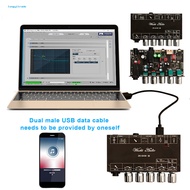 Reverb Board Preamplifier Effects Microphone Karaoke Reverb Board Power Amplifier Module with Usb Decoding for Diy Bluetooth Audio Home Theater Store