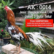 telur ayam bangkok ekor lidi sampartaka paket 3 butir