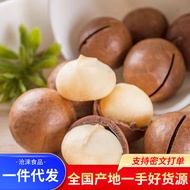 Creamy Macadamia Nuts Thin Skin Big Nuts 500g Walnuts Hand Peeled Open Big Grain Macadamia Nuts 2.2