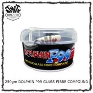 DOLPHIN P99 Glass Fibre Compound Bridges Hole Car Putty Filler