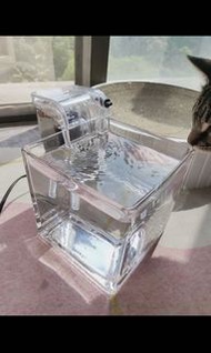 神奇之貓咪飲水機