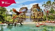 Bird Paradise bird Park cheap ticket discount promotion Adventure cove water park S.E.A Aquarium Uni