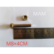 BOLT AND NUT 12 LENGTH 4CM M8 COUNT4CM
