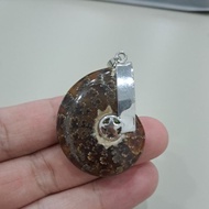 斑彩螺吊坠ammonite pendant