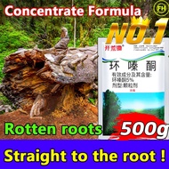 Root rot does not recur racun rumput paling kuat murah racun rumput cepat mati weed killer 100g 88% 