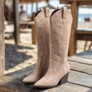 Suede Pointed Toe Embroidered Chunky Heel High Shaft Cowgirl Boots For Women, Fall/Winter,Western St
