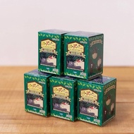 Random BOX Model My Neighbor So Many POSES! Totoro Blind Version 2 Authentic