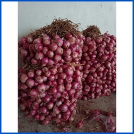 ❖ ◱ ❊ 1 kg lasona native sibuyas red onion from ilocos