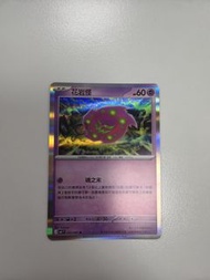 寵物小精靈卡 花岩怪 閃卡