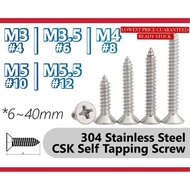 M3 M3.5 M4 M5 CSK Self Tapping Screw 304 Stainless Steel 6~40mm Flat Head Screw Plastic Wood