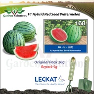 20G LECKAT 168 TEMBIKAI / F1 HYBRID WATERMELON LECKAT PREMIUM F1 HYBRID SEED GWG BIJI BENIH