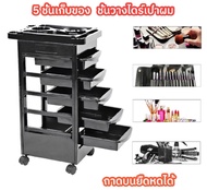 ชั้นวางของมีล้อ ชั้นเสริมสวย ชั้นวางร้านเสริมสวย รถเข็นช่างทำผม รถเข็นเก็บเครื่ ชั้นวางไดร์ BD800 DY