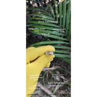 cincin besi kuning 100% asli dijamin