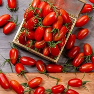 【專業農】農產百寶箱-溫室聖女小番茄號(下單後7個工作天出貨)