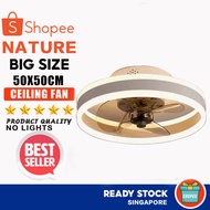 16 inch DC fan lamp bedroom ceiling fan lamp living room ceiling fan lamp simple modern dining room lamps