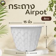 Airpot 15 นิ้ว กระถางปลูกสายเขียว กระถางเร่งราก สีขาว สีอิฐ สีดำ ขนาด 15 นิ้ว