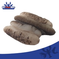 FROZEN CLEANED SEA CUCUMBER 300GM/PKT 已泡发秃参 - GST FRESH MART