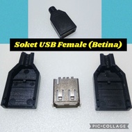 USB Female Socket (Betina) USB Hub