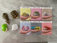 Te-nori friends 掌心造型動物 兩棲爬蟲 膠空心公仔