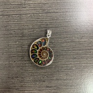 Ammonite Fossil DIY Pendant + Necklace + Free Random Fortune Oil + Free Bracelet 天然顶级拼接斑彩螺设计款吊坠+项链 2