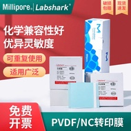 Millipore PVDF Transfer Membrane M M Protein Blotting