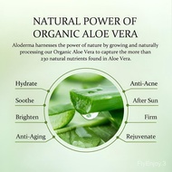 【LIVE】One2World Selection ALODERMA Pure Aloe Vera Gel Made with 96% Organic Aloe Vera, 200g