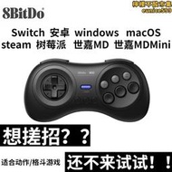 八位堂m30手把 switch電腦 steam 世嘉md格鬥遊戲六鍵搓招