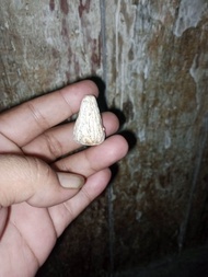 batu mustika kentos kelapa asli