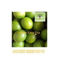 BUAH LEMON CALIFORNIA 1KG - LEMON BUAH - JERUK LEMON