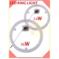 Light 24W/36W COB LED Magnet Module Circular Tube Replacement Round Downlight Ceiling Light/Lampu Ma