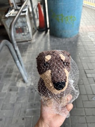 Jellycat 臘腸狗