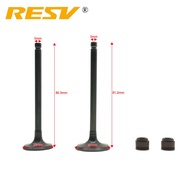 RESV for HJ125T-9C HJ125T-10A HJ125T-11 HJ125T-16 Engine Valve Intake Exhaust Stem Valve Oil Seal