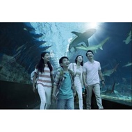 RWS SEA Aquarium