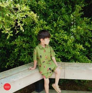 KANUkids wear Red Panda shirt set