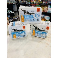FOFOS DIAPERS MALE DOG