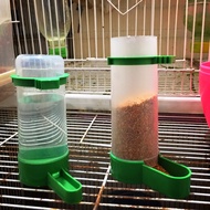 Bird water bottle, water bottle & bran for ornamental birds