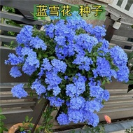 Welcome to the Shop, Ready Stock Fast Shipping Japanese Korean Trendy Department Store Ready Baking 