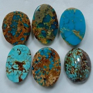 PERSIAN TURQUOISEnatural (D15)