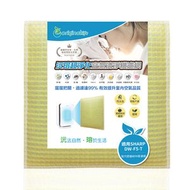 聲寶 - 適用DW-F5-T 取代HEPA【Original Life沅瑢】 長效可水洗 超淨化空氣清新機濾網