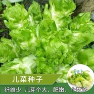 Ready Stock Immediate Shipping Children's Vegetable Seeds Hug Seeds Mustard Vegetable Seeds Children