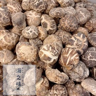 仿木茶花菇 200g【AA / 3-4cm】| 无硫磺 | Dried Mushroom 200g