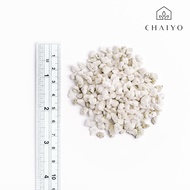 เพอร์ไลท์ 80 - 100 ลิตร ยกกระสอบ Perlite 80 - 100L