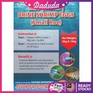 DADUDA Small roe Cyst / bbs halus baby brine shrimp,fish food aquarium ikan betta,guppy 99% hatching