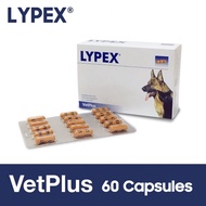 VetPlus LYPEX for Dogs & Cats 60 Capsules / Digestive enzyme nutritional supplements