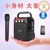戴樂s15迷你手提無線音響可攜式k歌音箱叫賣收款fm錄音播放器
