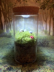 8*15cm  苔蘚微景觀   天然白髮蘚 天然綠植 苔蘚生態瓶 植物擺件 桌面擺設 窗台裝飾 苔蘚花園 懶人植物 辦公室擺設 情緒治癒 禮物