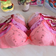 Bra SIZE 38-44 (A38) Women's underwear WIRELESS/ THIN FOAM/