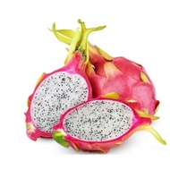 [SAME DAY DELIVERY] - BUAH NAGA PUTIH SEGAR 1 BIJI/ FRESH WHITE DRAGON FRUIT