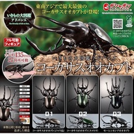 Gashapon Bandai Premium Big Size Hercules Beetle Action Vol.02 Animal Model